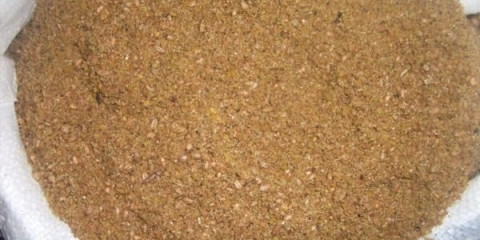 Kako hraniti prepelice kod kuće i kako držati, krmne smjese